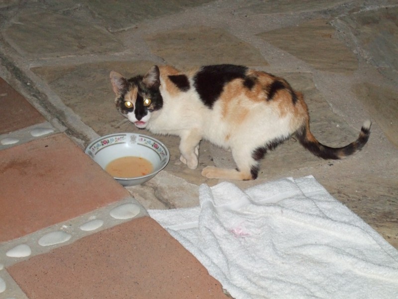 Anadalusien 2009 - 0612 